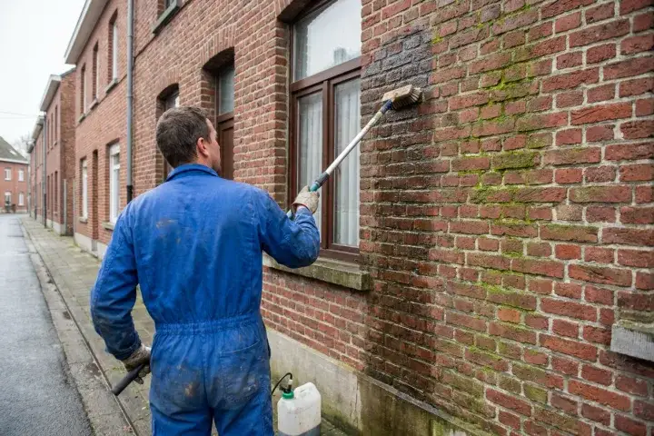 Behandeling van mos en algen op gevelmetselwerk met een zachte borstel